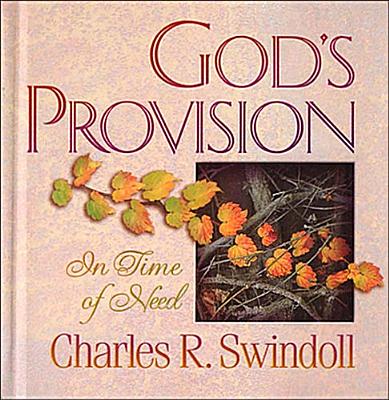 God's Provision in Time of Need