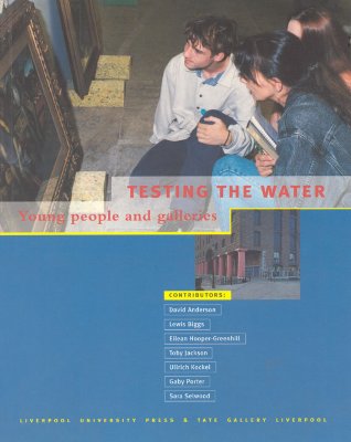 Image for Testing the Water: Young People and Galleries