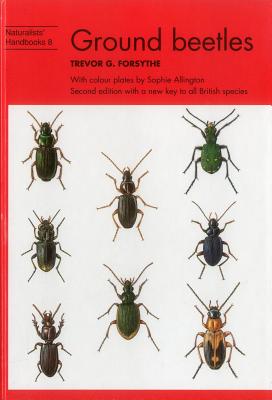 Ground Beetles