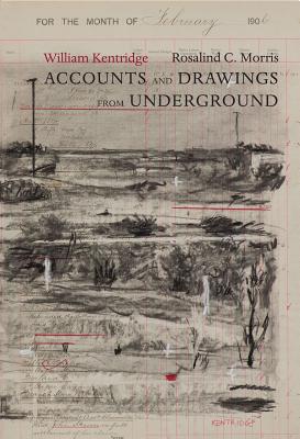Accounts and Drawings from Underground: The East Rand Proprietary Mines Cash Book, 1906 (The Africa List)