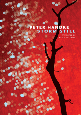 Storm Still (The German List)