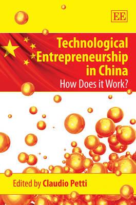 Technological Entrepreneurship in China: How Does it Work