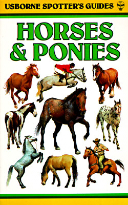 Horses & Ponies