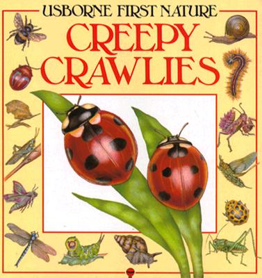 Creepy Crawlies (Usborne First Nature)