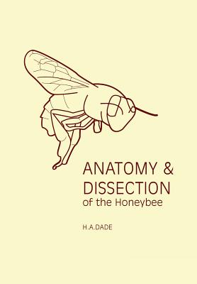 Anatomy and Dissection of the Honeybee Image for Anatomy and Dissection of the Honeybee