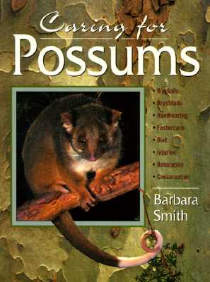 Caring for Possums