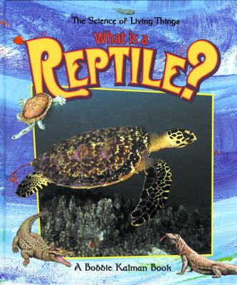 What Is a Reptile