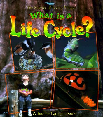What Is a Life Cycle