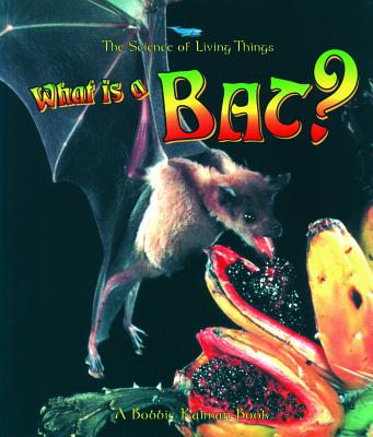 What Is a Bat (Science of Living Things)