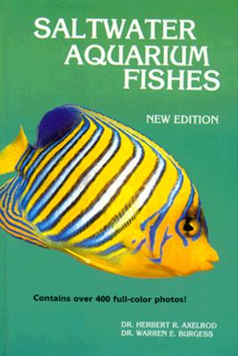 Saltwater Aquarium Fishes