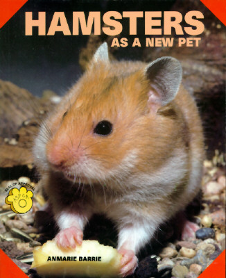 Image for Hamsters As a New Pet