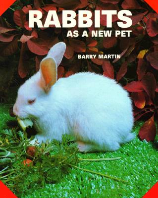 Rabbits As a New Pet