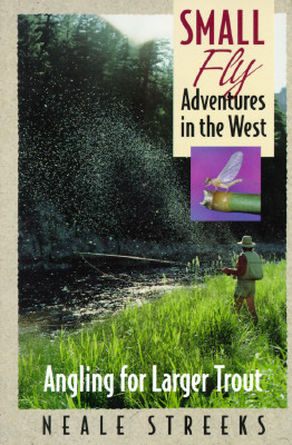 Small Fly Adventures in the West