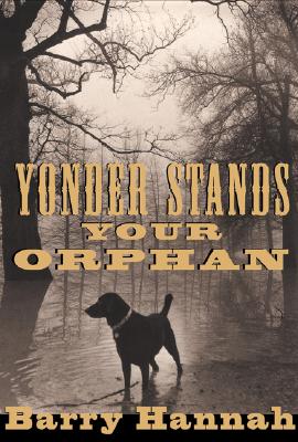 Image for Yonder Stands Your Orphan