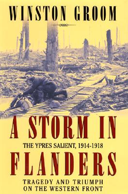 Image for A Storm in Flanders: The Ypres Salient, 1914-1918: Tragedy and Triumph on the Western Front