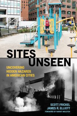 Sites Unseen: Uncovering Hidden Hazards in American Cities: Uncovering Hidden Hazards in American Cities (American Sociological Association's Rose Series)