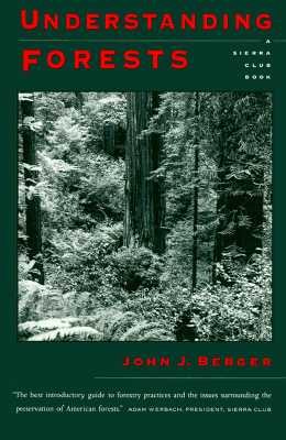 Understanding Forests