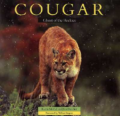 Cougar; Cougar Ghost of the Rockies