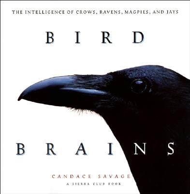 Image for Bird Brains: The Intelligence of Crows, Ravens, Magpies, and Jays