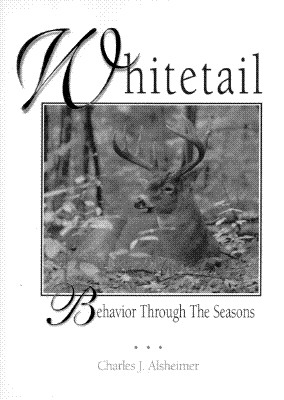 Whitetail Behavior Through the Seasons