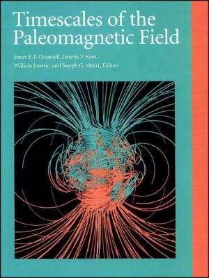 Timescales of the Paleomagnetic Field (Geophysical Monograph Series)