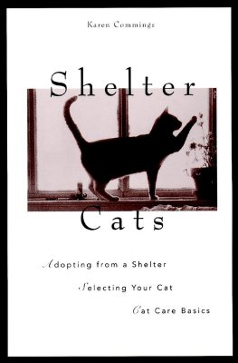 Image for SHELTER CATS ADOPTING FROM A SHELTER SELECTING A CAT CAT CARE BASICS