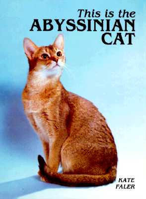 This is the Abyssinian Cat