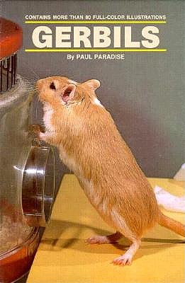 GERBILS