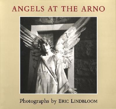 Image for Angels at the Arno (Imago Mundi Book) Angels at the Arno (Imago Mundi Book)