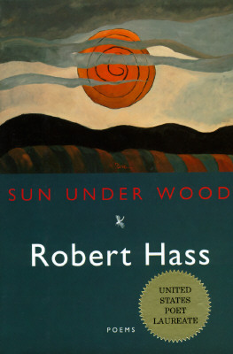 Sun Under Wood