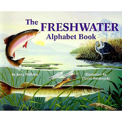 Fish Alphabet [Book]