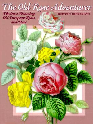 The Old Rose Adventurer The Once Blooming Old Europeon Roses And More