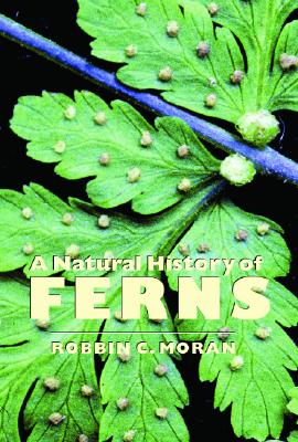 Image for A Natural History Of Ferns A Natural History Of Ferns