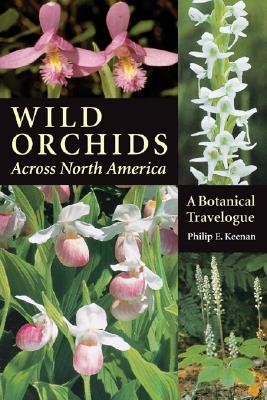 Wild Orchids Across North America - A Botanical Travelogue