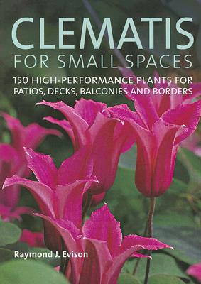 Clematis For Small Spaces