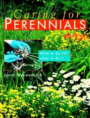 Image for Caring for Perennials: What to Do and When to Do it