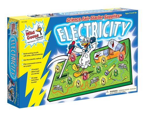 Reading Achievement, Grade 3