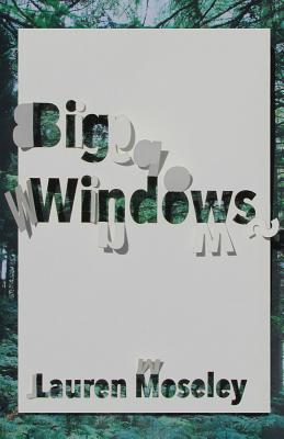 Big Windows (Carnegie Mellon Poetry Series)