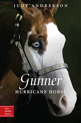 Image for Gunner: Hurricane Horse (True Horse Stories)