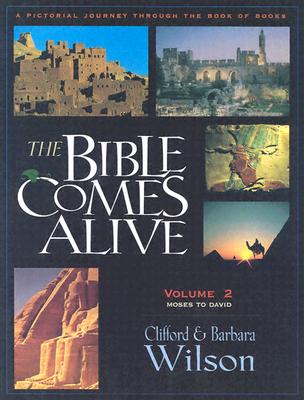 Image for The Bible Comes Alive: A Pictorial Journey Through the Book of Books The Bible Comes Alive: A Pictorial Journey Through the Book of Books