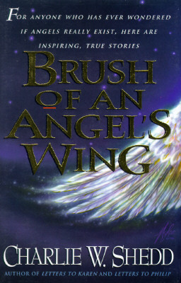 Image for Brush of an Angel's Wing