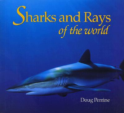 Image for Sharks and Rays of the World