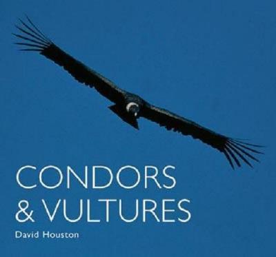 Condors and Vultures (World Life Library)