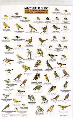Mac's Field Guides: Southern California Park & Garden Birds (Mac's Guides (Flash Cards))