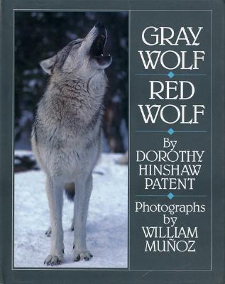 Gray Wold Red Wolf