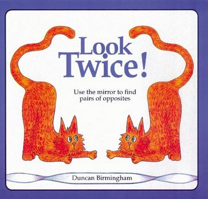 Look Twice: Use the Mirror to Find Pairs of Opposites