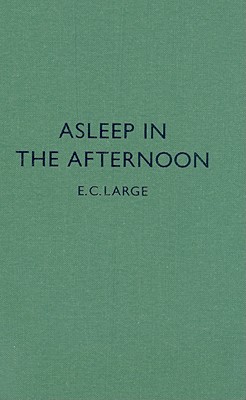 Asleep in the Afternoon