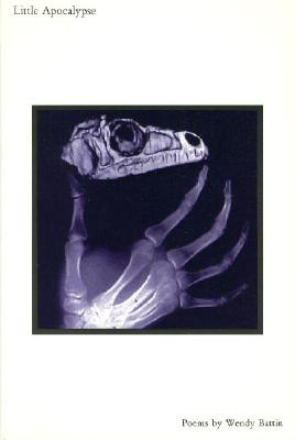 Little Apocalypse (Richard Snyder Publication)