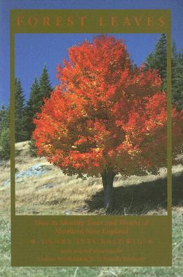 Image for Forest Leaves: How to Identify Trees and Shrubs of Northern New England