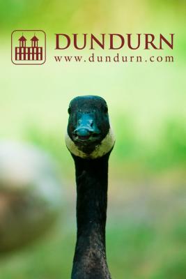 A Paintbrush in My Hand